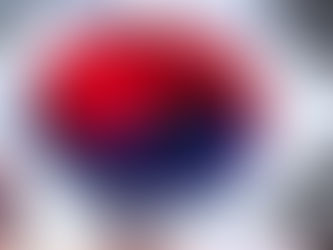 CHAMPIONNATS DU MONDE – Gamsa Hamnida !