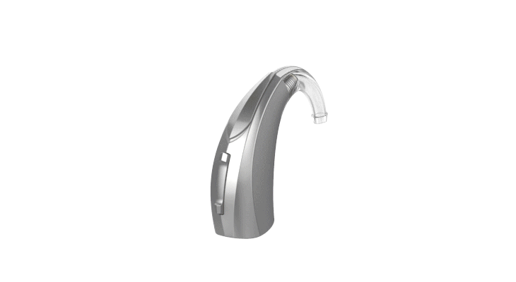 Parts of the behind-the-ear hearing aid
