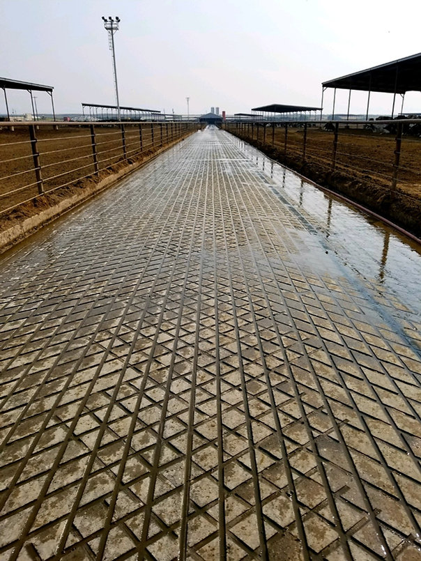 Dairy farm United States CONCRETE GROOVING