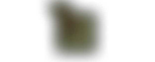 Rootthing Bug Tracker