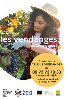 annonce vendange CFA.JPG