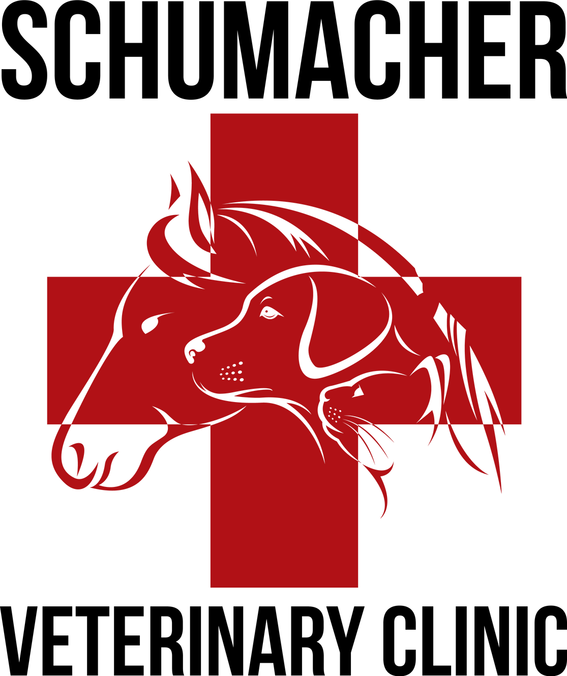 Dr. Kyle Schumacher logo