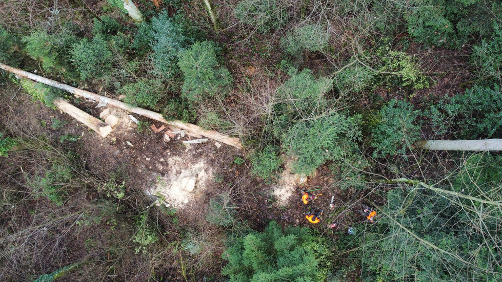 Mitarbeiter der sozialen Einrichtung bei der Arbeit mit einer Kettensäge. Präzise und sichere Fällarbeiten im Wald.