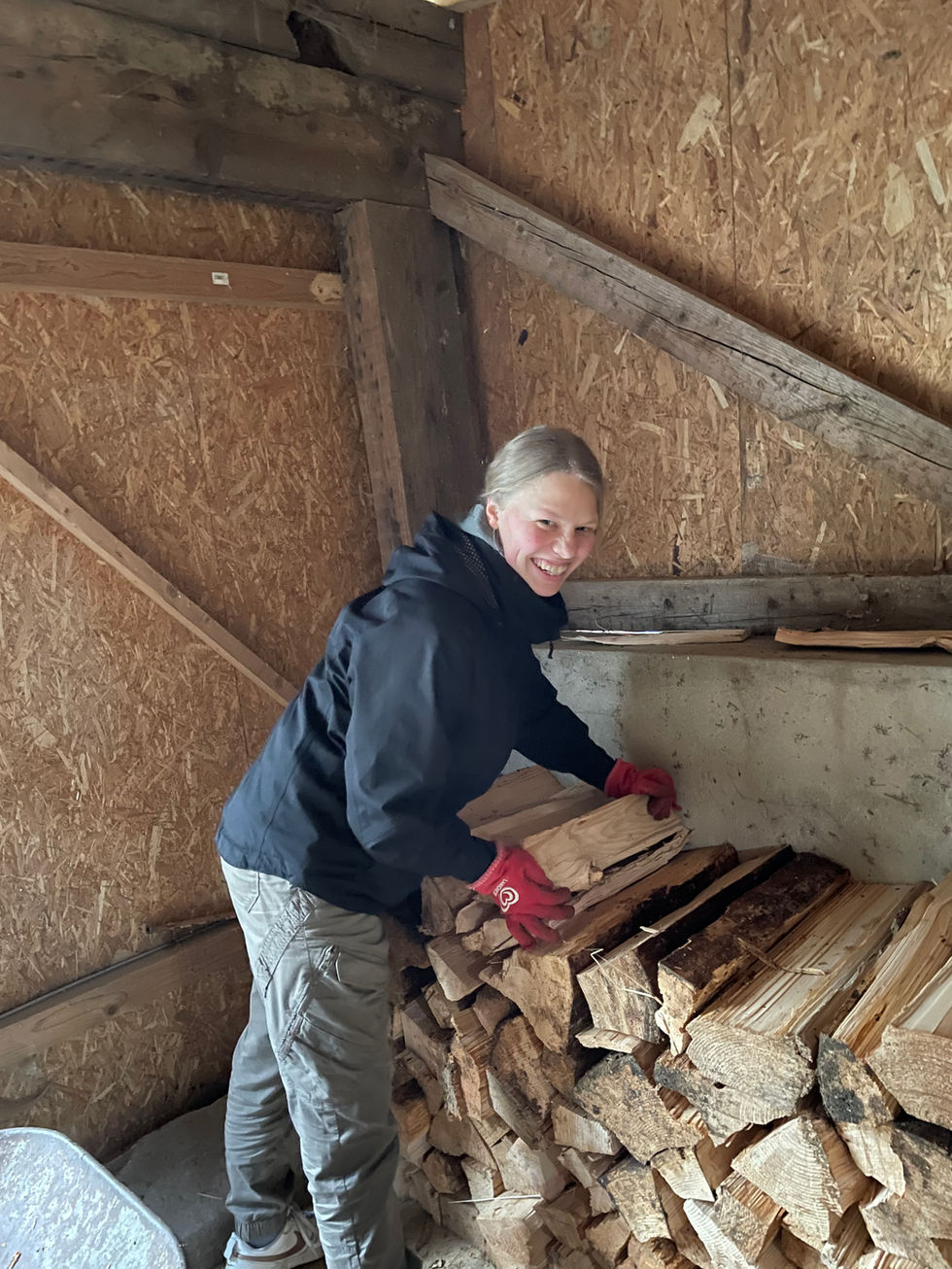 Aufgestapeltes Holz im Freien als Ergebnis der Arbeit der sozialen Einrichtung. Sorgfältige Lagerung für die kalte Jahreszeit