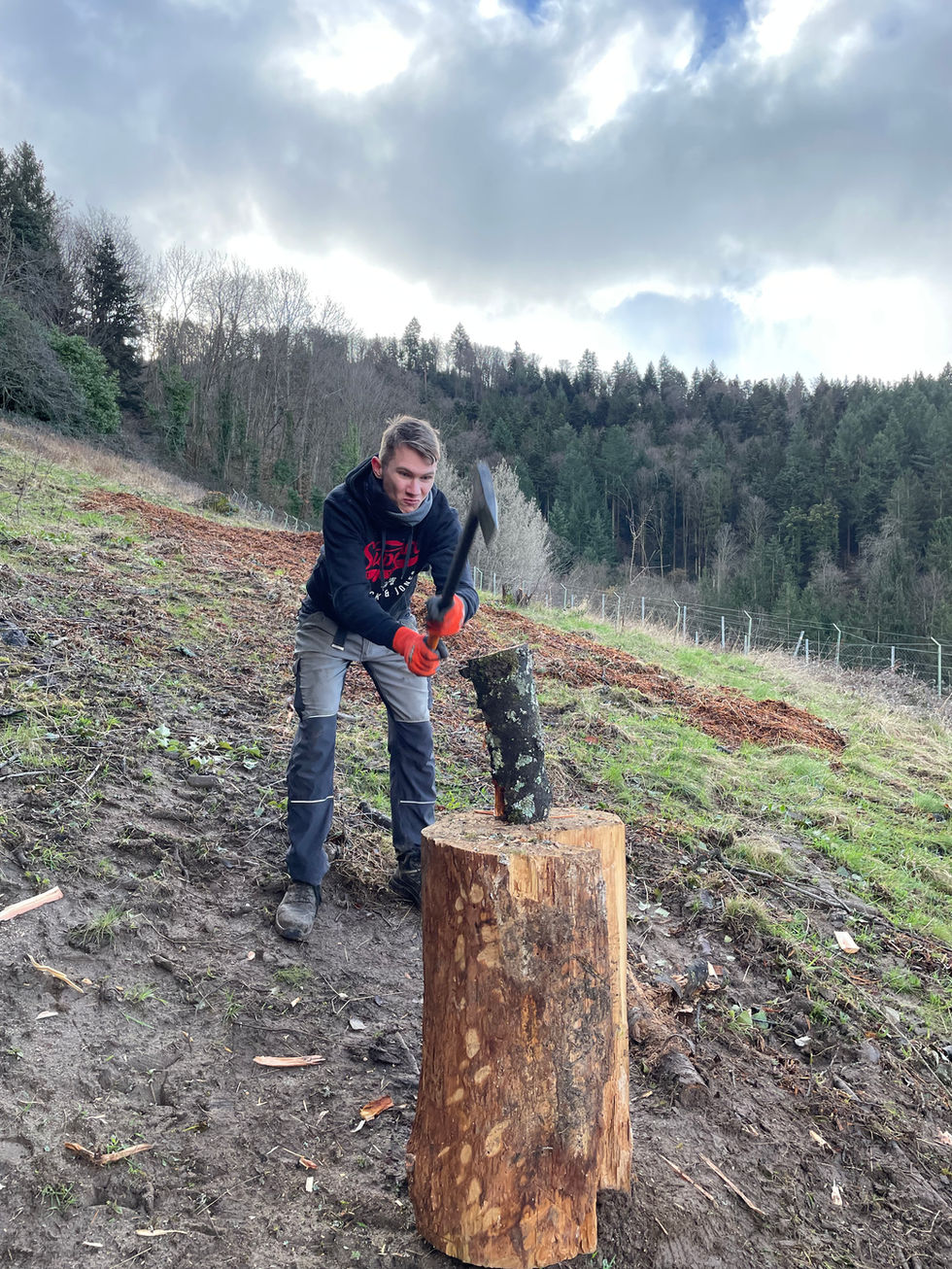 Holzspalter im Einsatz bei der sozialen Einrichtung. Effiziente Verarbeitung von Brennholz zur Vorbereitung auf den Winter.