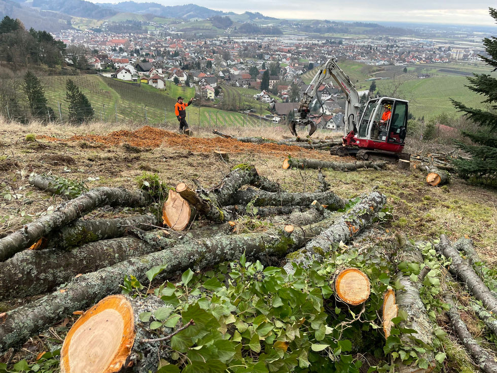Große Maschinen im Einsatz bei der Gefährdetenhilfe Weitblick. Effiziente Durchführung von Holzarbeiten zur Waldpflege.