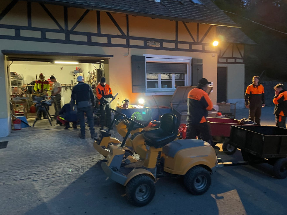 Aufräumarbeit nach dem Fällen bei der Gefährdetenhilfe Weitblick