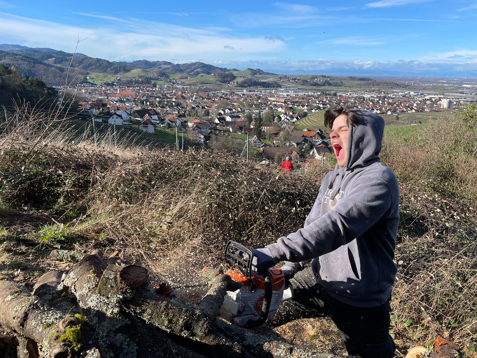 Aufgestapeltes Brennholz als Ergebnis der Arbeit der Drogenhilfe. Strukturierte Lagerung für den kommenden Winter.