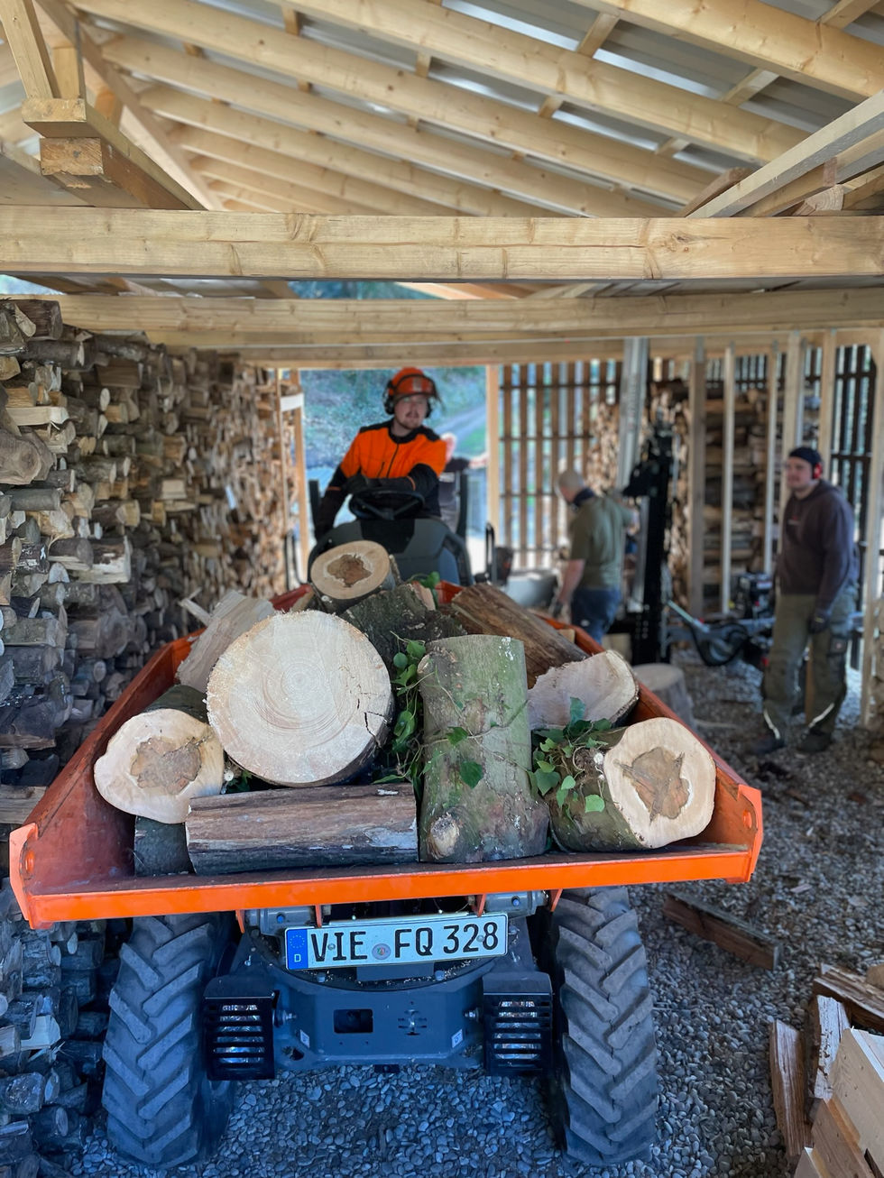 Muldenkipper transportiert Holz durch das Gelände der Gefährdetenhilfe Weitblick in Oberkirch.