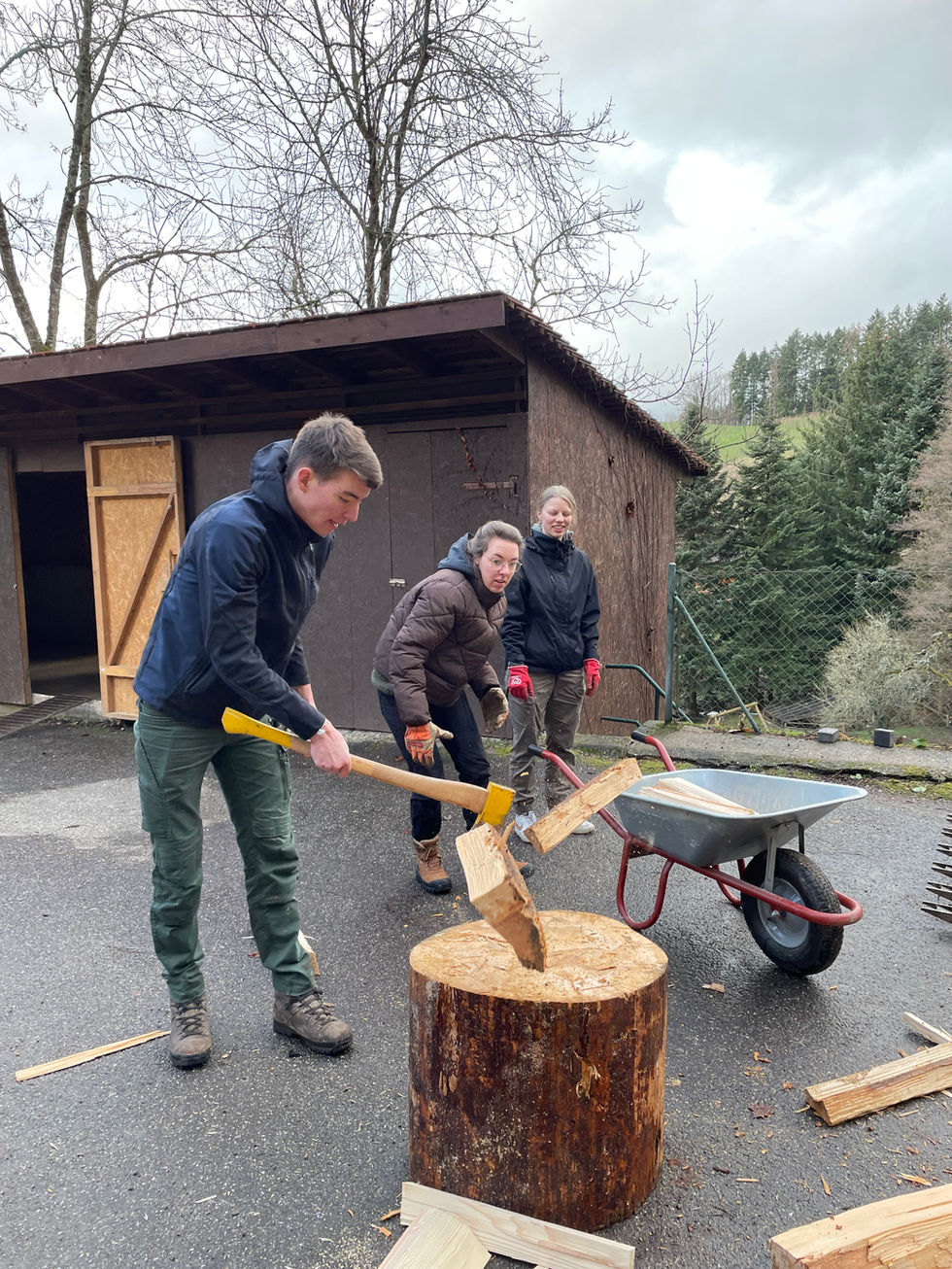 Mitarbeiter der Gefährdetenhilfe Weitblick stapelt gespaltenes Holz auf. Ordnung und Struktur bei der Holzlagerung.