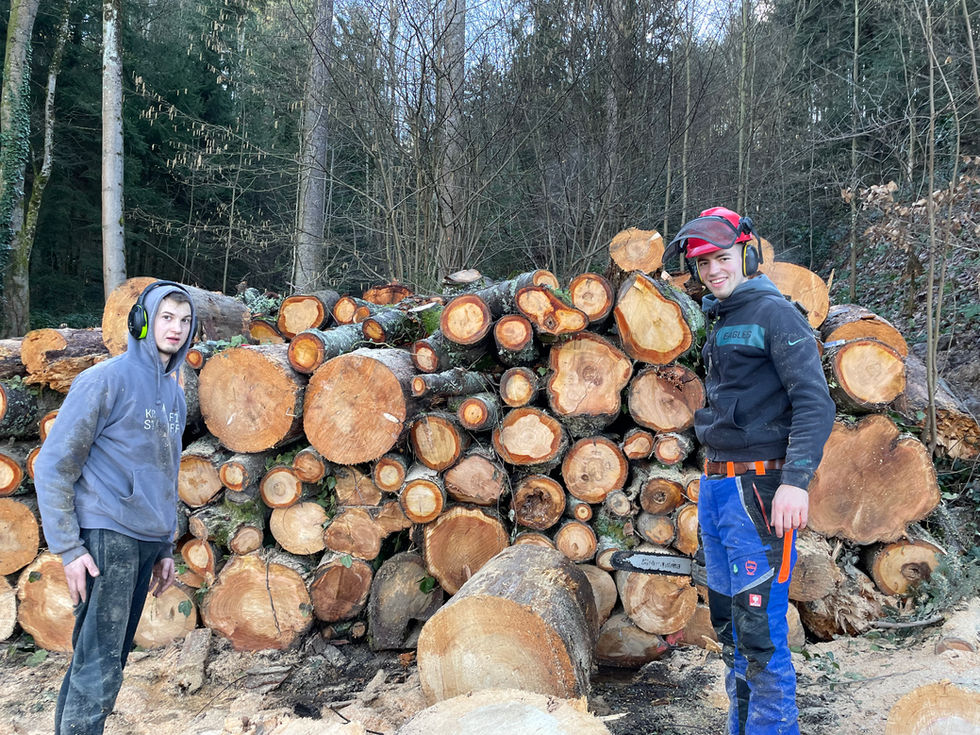 Mitarbeiter der sozialen Einrichtung nutzt Holzspalter für die Brennholzproduktion. Effiziente und sichere Arbeit im Freien.