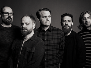 Death Cab See Foxglove Through The Clearcut