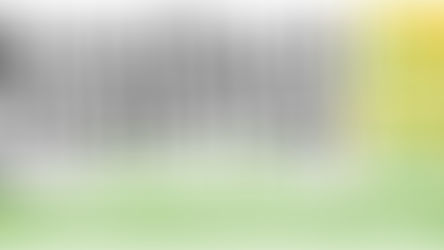 CEO Update: November 21, 2025