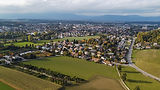 Langenthal_bear..jpg