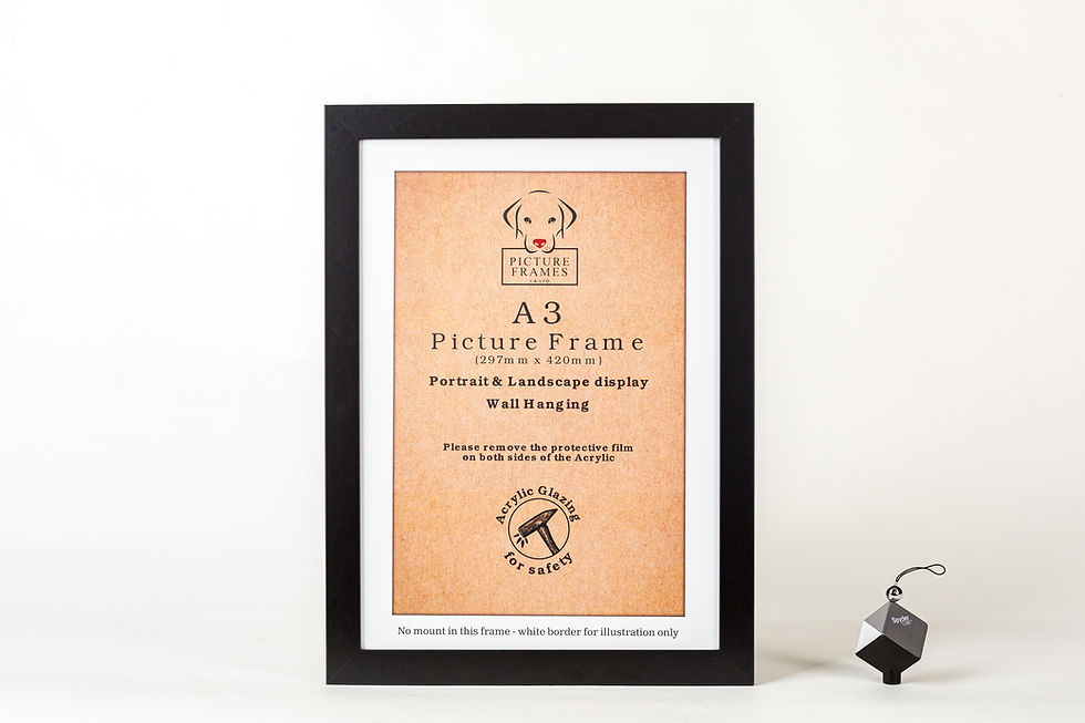 A3 Black Picture Frame Singles Pallet of 440 Frames PFUK