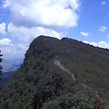 mohan_edited.jpg
