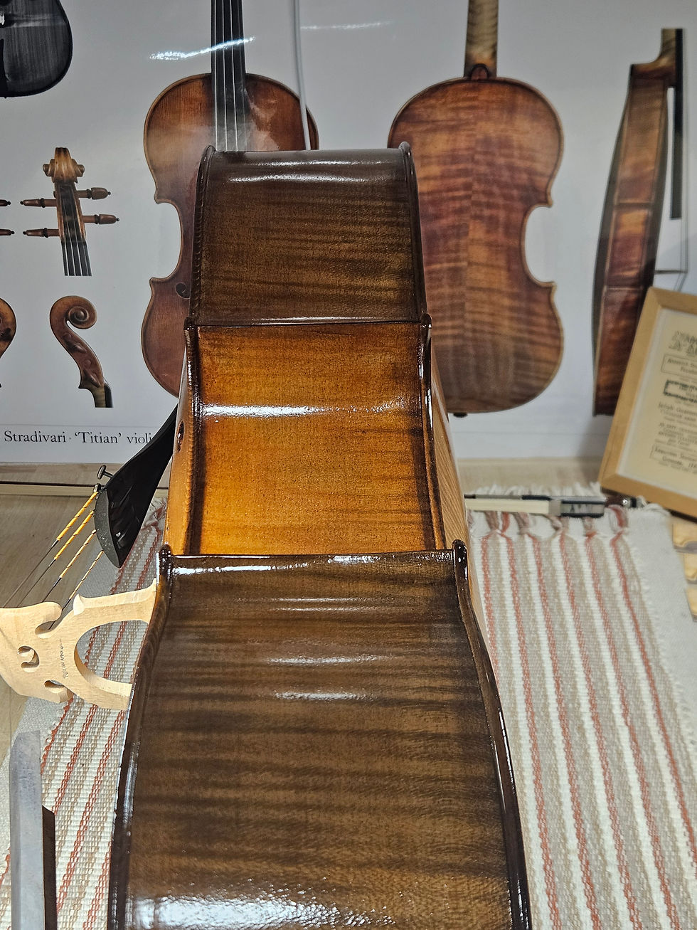Miniatura: Cello Profesional avanzado - Cannone