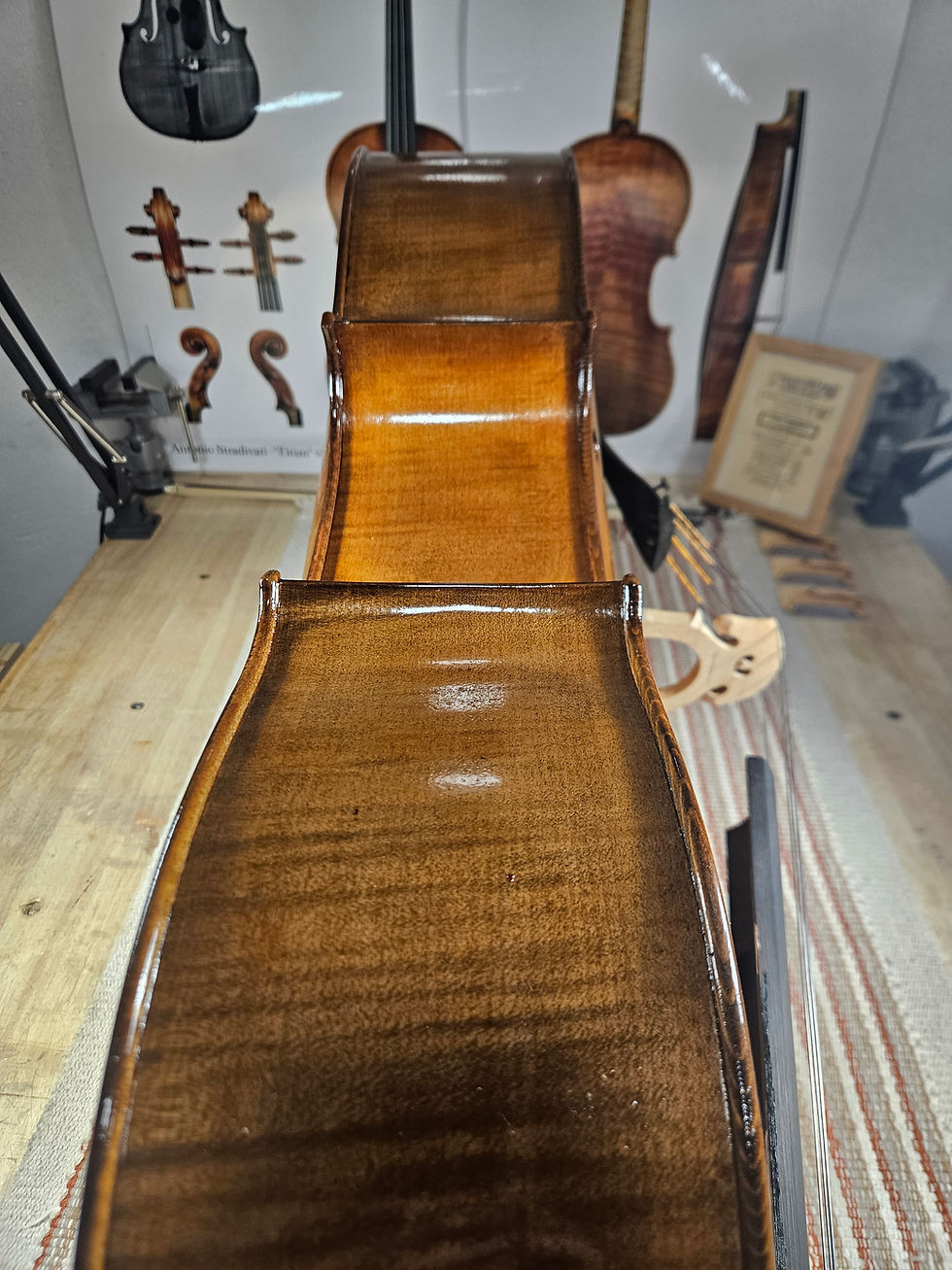 Miniatura: Cello Profesional avanzado - Cannone