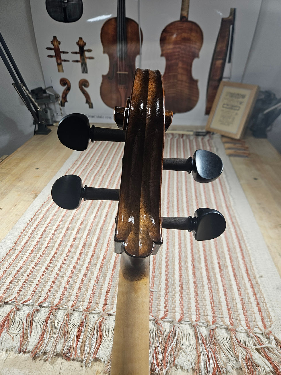 Miniatura: Cello Profesional avanzado - Cannone