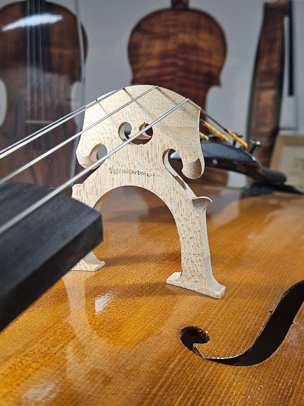 Miniatura: Cello Profesional avanzado - Cannone