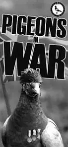 Pigeons-in-War