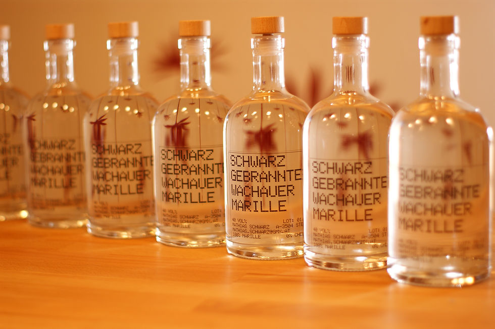 Schwarzgebrannte Wachauer Marille 0,3l