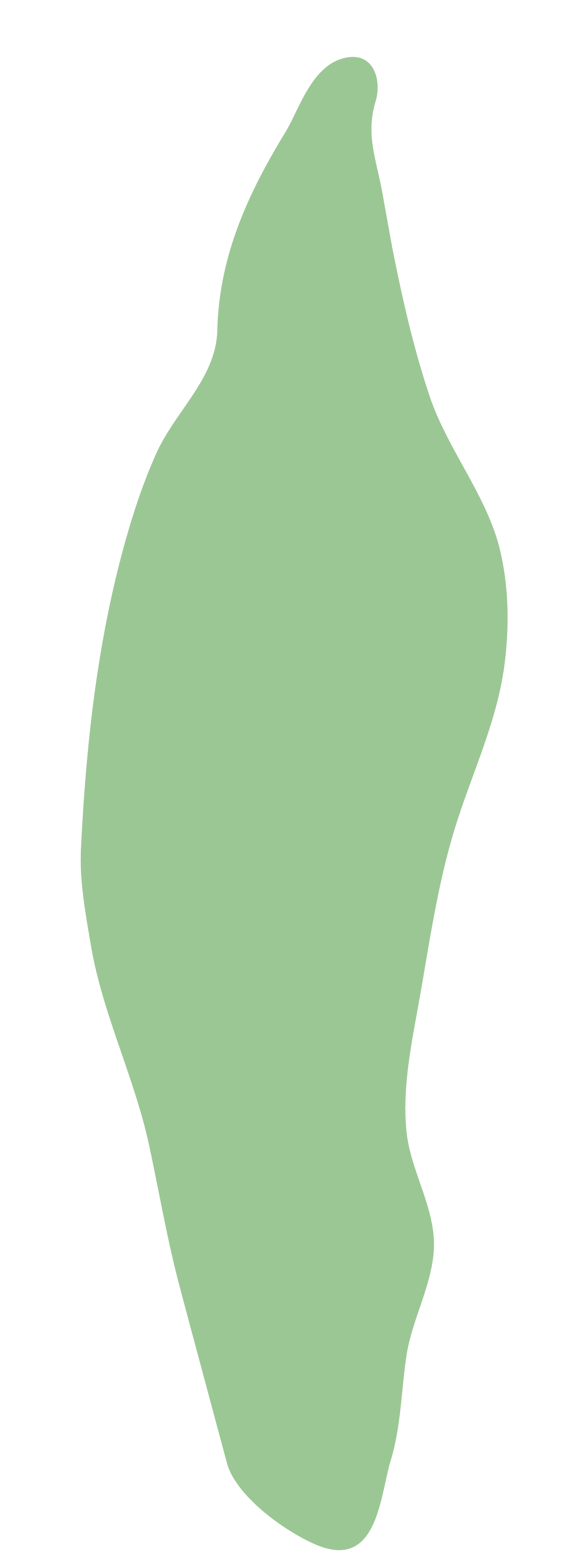 Foglia