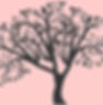 arbre black fond rose png_edited.jpg