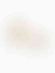 Goldene Zephira Creolen aus Edelstahl – bauchige Hoops mit einer Reihe weißer Perlen entlang der Außenkante auf weißem Grund.