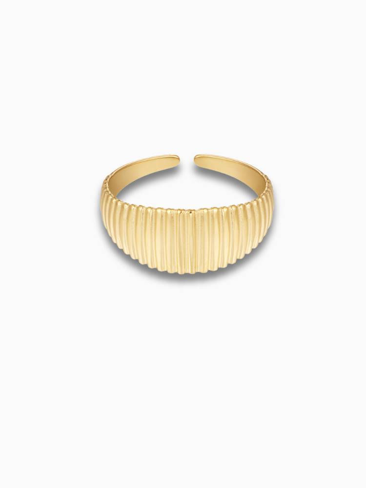 Vania breiter Damenring mit Streifen aus Edelstahl in Gold von Sabibel