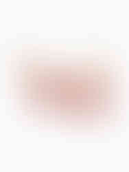 Goldene Levania Party Ohrringe aus Edelstahl – Herz-Ohrstecker mit hängendem ovalen Anhänger und rotem Muschel-Inlay