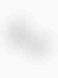 Silberne Emma Ohrringe (S) aus Edelstahl – minimalistische, bauchige Klappcreolen in kühlem Hochglanz-Finish.