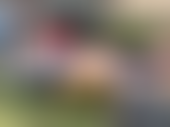 Earth Lightについて