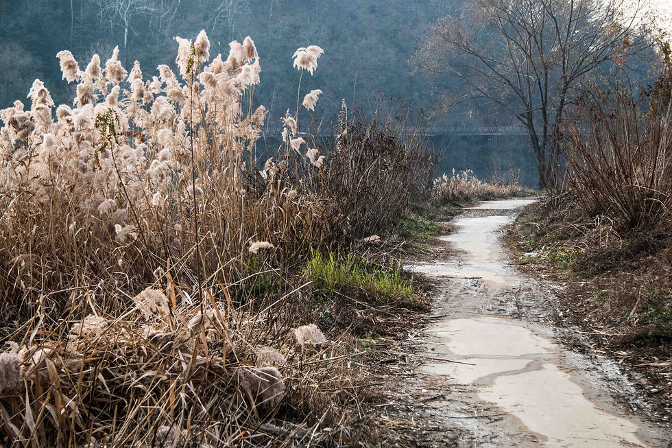 Steve Sherk Photography - Seoul Photographer Korea