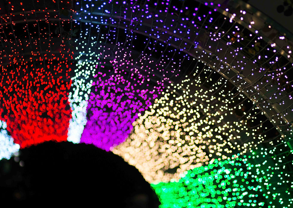 Steve Sherk Photography - Seoul Photographer Korea