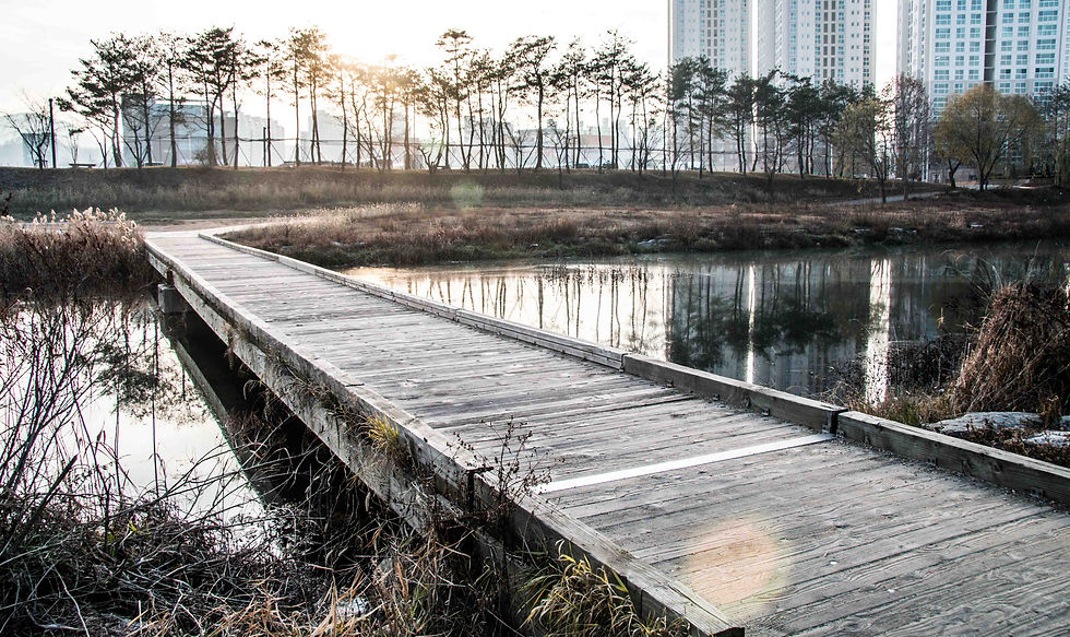 Steve Sherk Photography - Seoul Photographer Korea