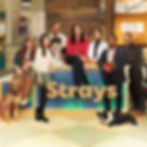 STRAYS S1