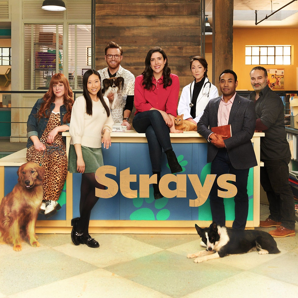 STRAYS S1