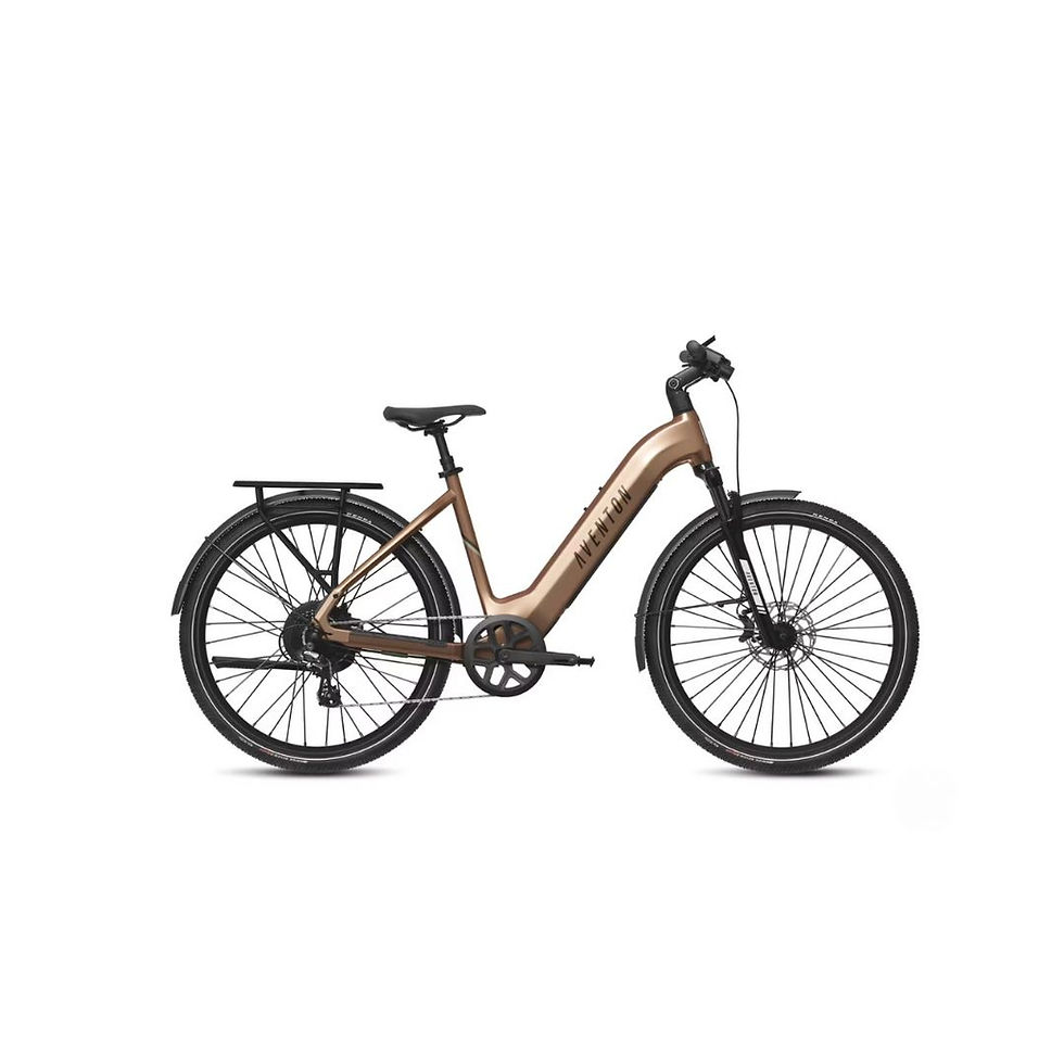 LEVEL.3 COMMUTER STEP THROUGH Ebike-Elevate Your Commute!