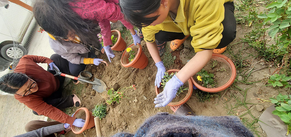 Growing a greener future