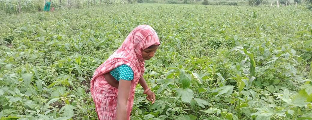 SPS DCS 1_edited.jpg