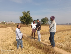 External inspection of Paddy _SGVS.jpg