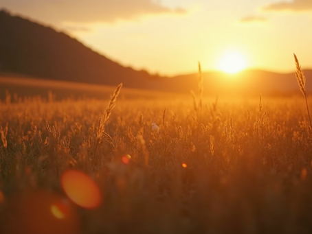 When the impossible finds you: Embracing the Mystery of Extraordinary Moments