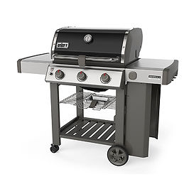 Weber_Genesis II_SE-310.jpg