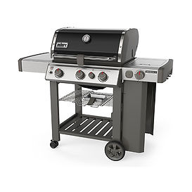 Weber_Genesis II_SE-330.jpg