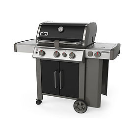 Weber_Genesis II_SE-335.jpg