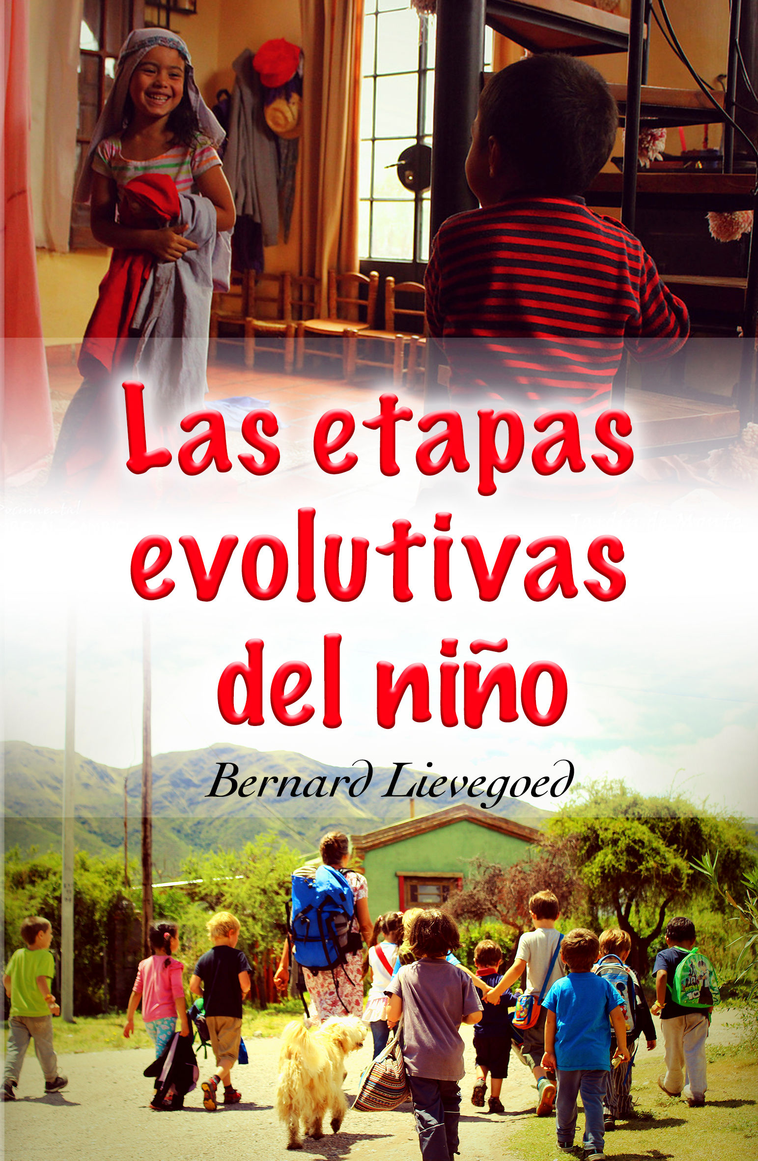 Las etapas Evolutivas del Niño