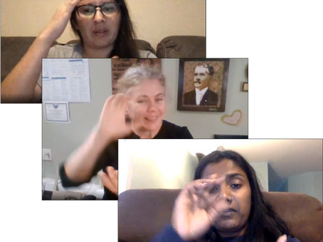 SignTag: A platform for collecting and annotating sign language data