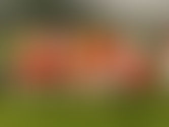 Inter Blue 4-3 Sporting Lamed: Brilliant Victory Ensures First Win of the Season