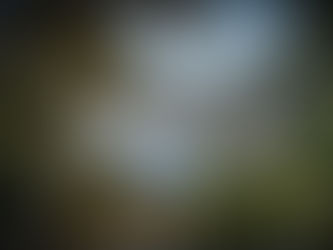 Smoky Mountains - Kenneth Hiner Photography